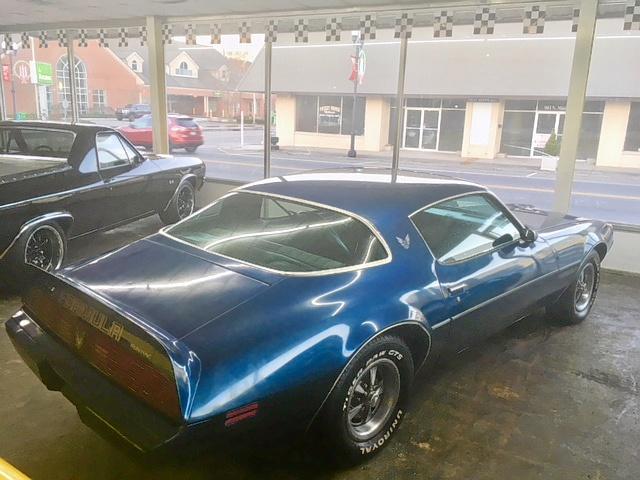 1G2AS87A9BL136922 - 1981 PONTIAC FIREBIRD BLUE photo 4