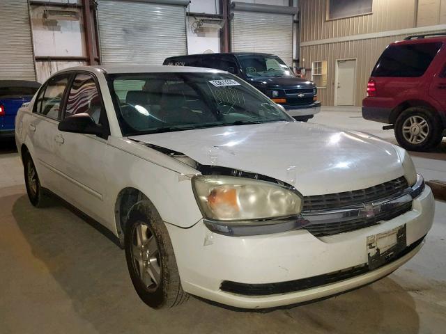 1G1ZT54875F115476 - 2005 CHEVROLET MALIBU LS თეთრი ფოტო 1