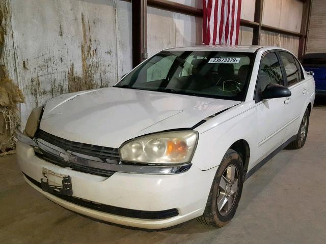 1G1ZT54875F115476 - 2005 CHEVROLET MALIBU LS თეთრი ფოტო 10