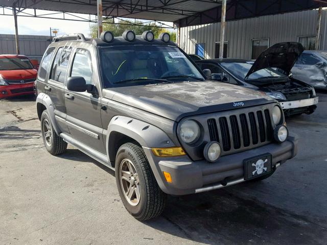 1J4GK38KX6W127483 - 2006 JEEP LIBERTY RE GOLD photo 1