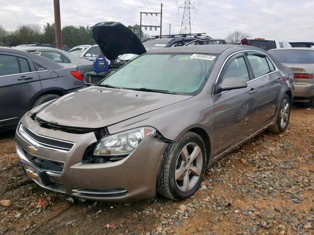 1G1ZC5E12BF105869 - 2011 CHEVROLET MALIBU 1LT თაფლისფერი ფოტო 2