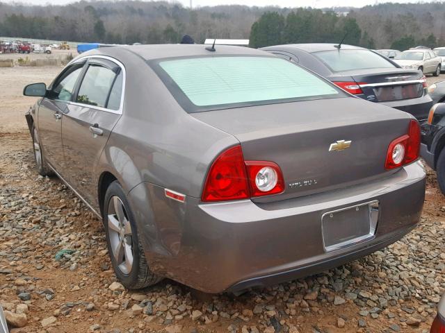 1G1ZC5E12BF105869 - 2011 CHEVROLET MALIBU 1LT თაფლისფერი ფოტო 3