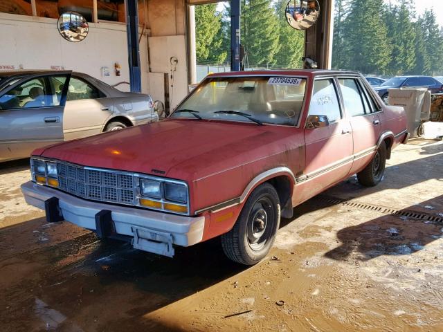 1FABP21B0BK158240 - 1981 FORD FAIRMONT RED photo 2