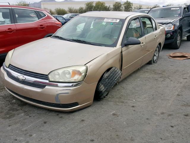 1G1ZT52885F227495 - 2005 CHEVROLET MALIBU LS GOLD photo 2