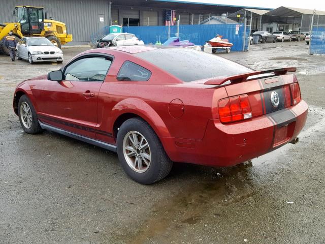 1ZVFT80N655135499 - 2005 FORD MUSTANG MAROON photo 3