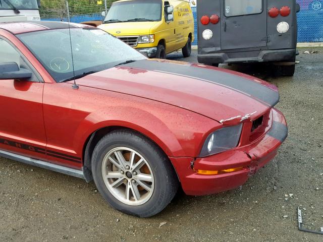 1ZVFT80N655135499 - 2005 FORD MUSTANG MAROON photo 9
