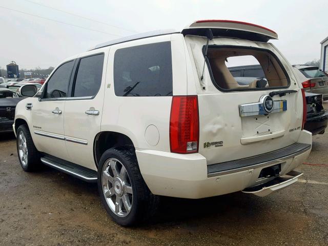 1GYFC43509R133036 - 2009 CADILLAC ESCALADE H CREAM photo 3