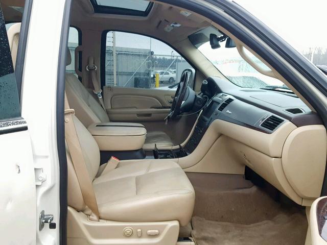 1GYFC43509R133036 - 2009 CADILLAC ESCALADE H CREAM photo 5