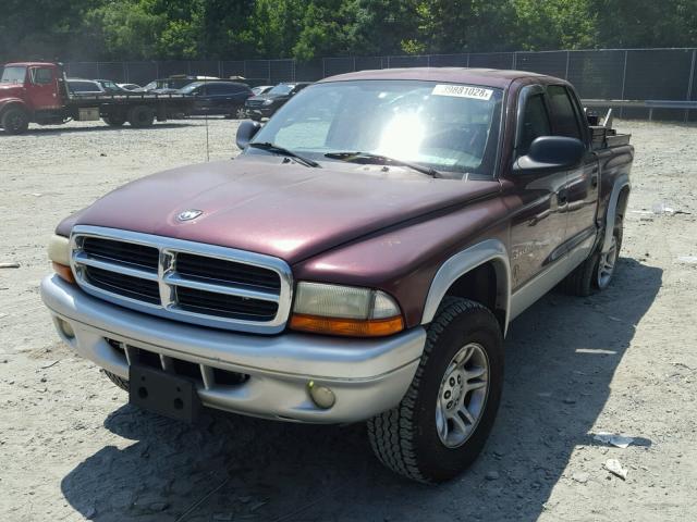 1B7HG48N62S537811 - 2002 DODGE DAKOTA QUA BURGUNDY photo 2