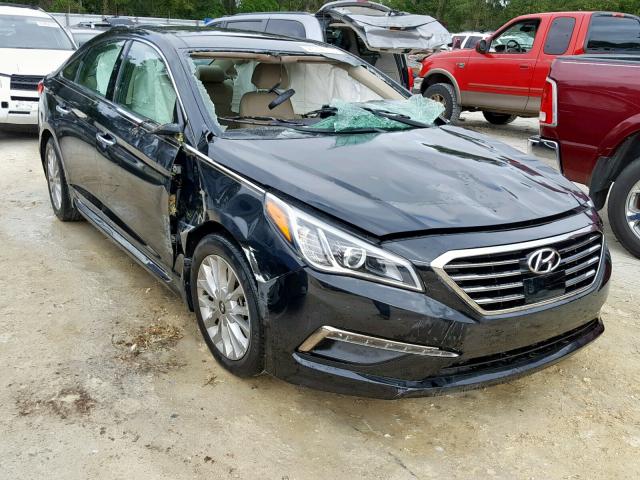 5NPE34AF6FH116418 - 2015 HYUNDAI SONATA SPO BLACK photo 1