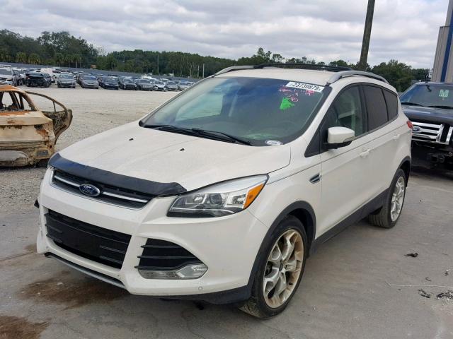 1FMCU0J96DUC83805 - 2013 FORD ESCAPE TIT WHITE photo 2