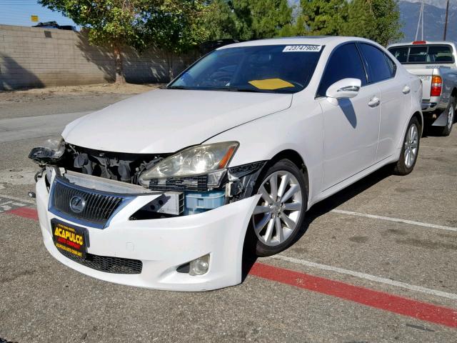 JTHBK262495093949 - 2009 LEXUS IS 250 WHITE photo 2