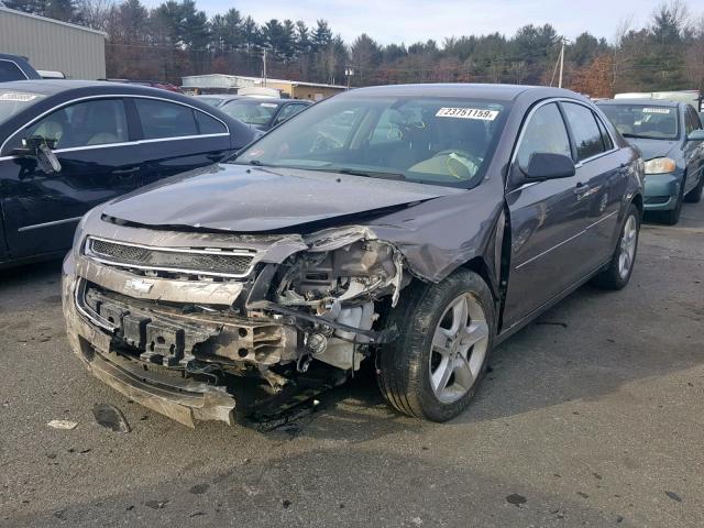 1G1ZB5EB7AF267619 - 2010 CHEVROLET MALIBU LS Qəhvəyi foto 2