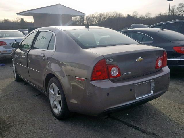 1G1ZB5EB7AF267619 - 2010 CHEVROLET MALIBU LS Qəhvəyi foto 3