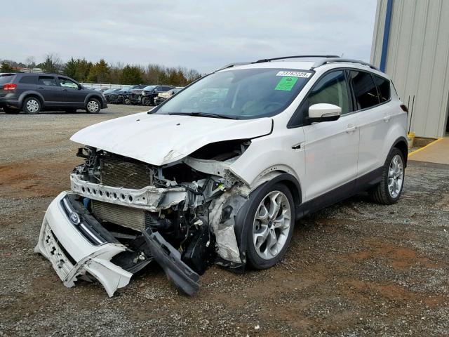 1FMCU0J98EUE06246 - 2014 FORD ESCAPE TIT WHITE photo 2