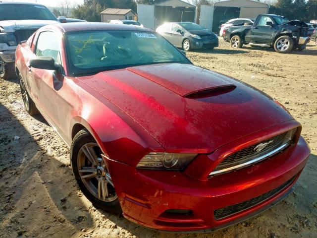 1ZVBP8AM8E5241901 - 2014 FORD MUSTANG RED photo 1