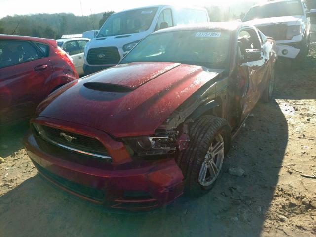 1ZVBP8AM8E5241901 - 2014 FORD MUSTANG RED photo 2