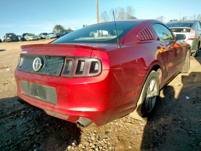 1ZVBP8AM8E5241901 - 2014 FORD MUSTANG RED photo 4