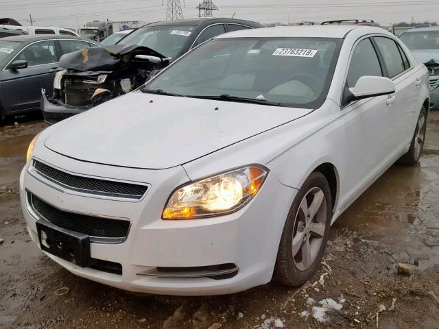 1G1ZC5E13BF139111 - 2011 CHEVROLET MALIBU 1LT WHITE photo 2
