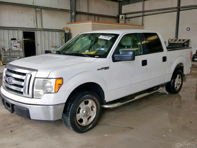 1FTEW1C86AFC37005 - 2010 FORD F150 SUPER WHITE photo 2