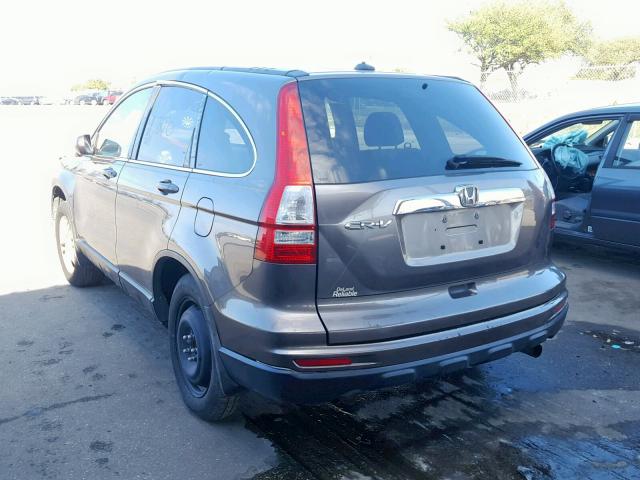 5J6RE3H79AL033231 - 2010 HONDA CR-V EXL GRAY photo 3