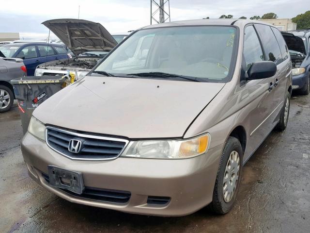 5FNRL18534B095648 - 2004 HONDA ODYSSEY LX TAN photo 2