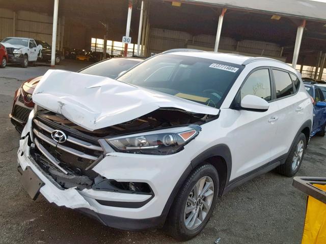 KM8J33A43GU063073 - 2016 HYUNDAI TUCSON LIM WHITE photo 2