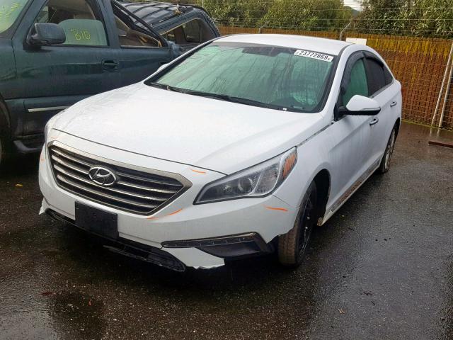 5NPE34AF8FH253215 - 2015 HYUNDAI SONATA SPO WHITE photo 2