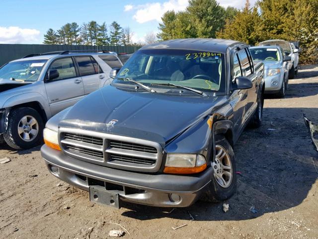 1B7HG38X52S562629 - 2002 DODGE DAKOTA QUA GRAY photo 2