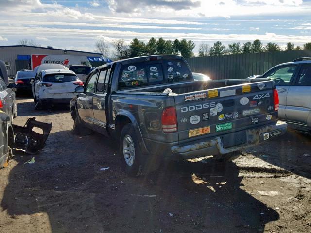 1B7HG38X52S562629 - 2002 DODGE DAKOTA QUA GRAY photo 3