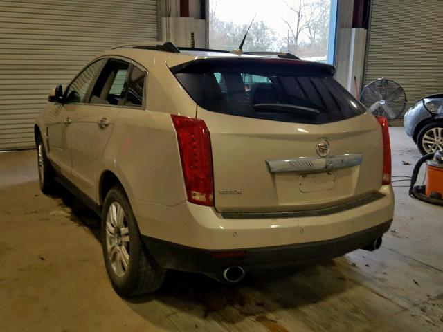 3GYFNAEY8AS555198 - 2010 CADILLAC SRX LUXURY GOLD photo 3