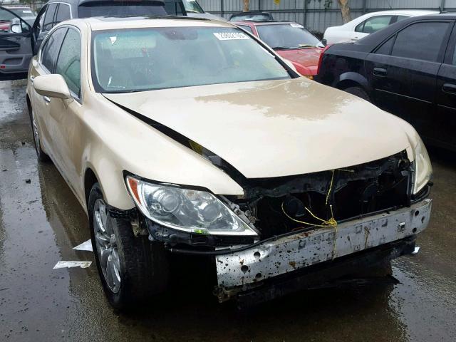 JTHBL46F275003738 - 2007 LEXUS LS 460 GOLD photo 1