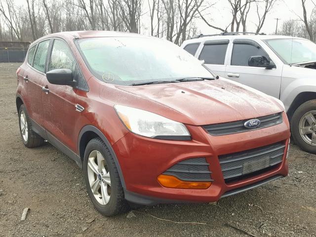 1FMCU0F70EUE44819 - 2014 FORD ESCAPE S ORANGE photo 1