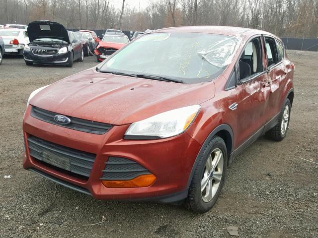 1FMCU0F70EUE44819 - 2014 FORD ESCAPE S ORANGE photo 2