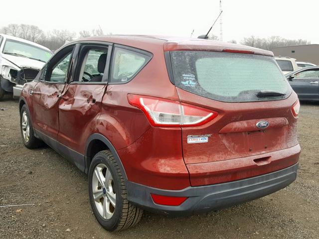 1FMCU0F70EUE44819 - 2014 FORD ESCAPE S ORANGE photo 3