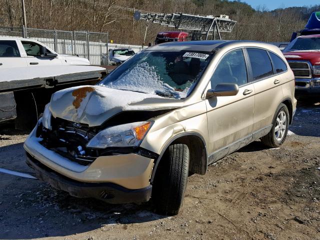 5J6RE48768L027614 - 2008 HONDA CR-V EXL TAN photo 2