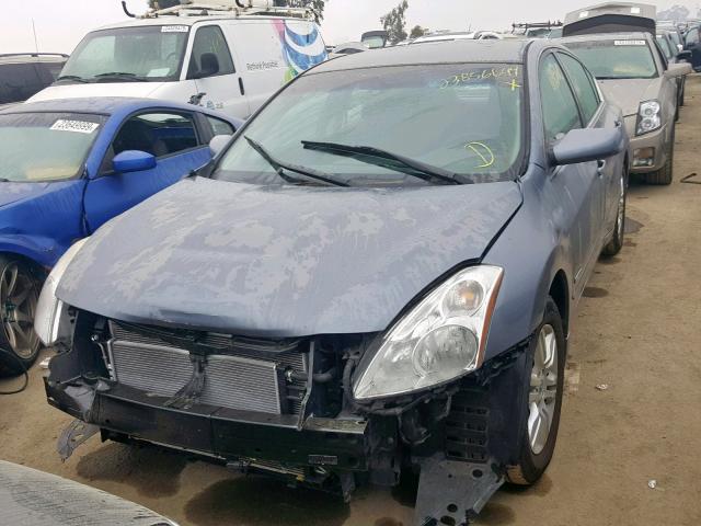 1N4CL2APXAC127212 - 2010 NISSAN ALTIMA HYB BLUE photo 2