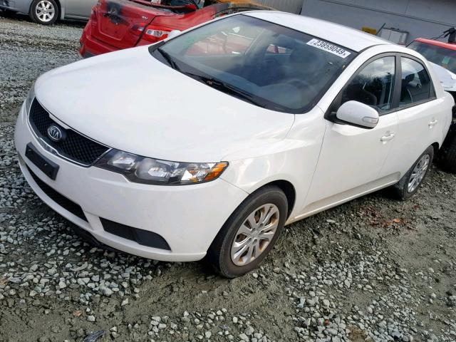 KNAFU4A25A5055650 - 2010 KIA FORTE EX WHITE photo 2