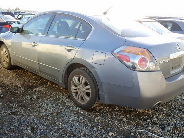 1N4CL2AP1AC137515 - 2010 NISSAN ALTIMA HYB GRAY photo 3