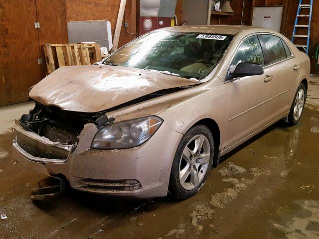 1G1ZB5E08CF301424 - 2012 CHEVROLET MALIBU LS BEIGE photo 2