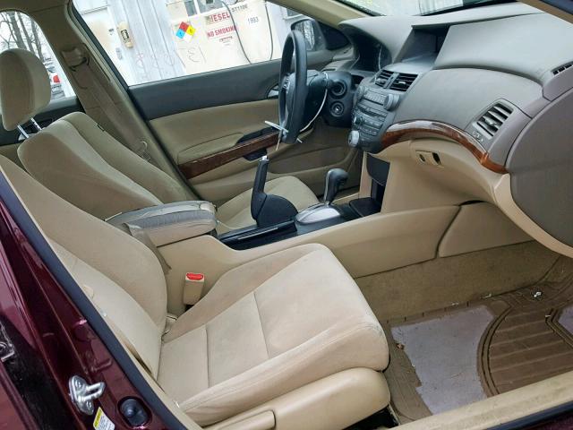 JHMCP26738C048612 - 2008 HONDA ACCORD EX 勃艮第红 照片 5