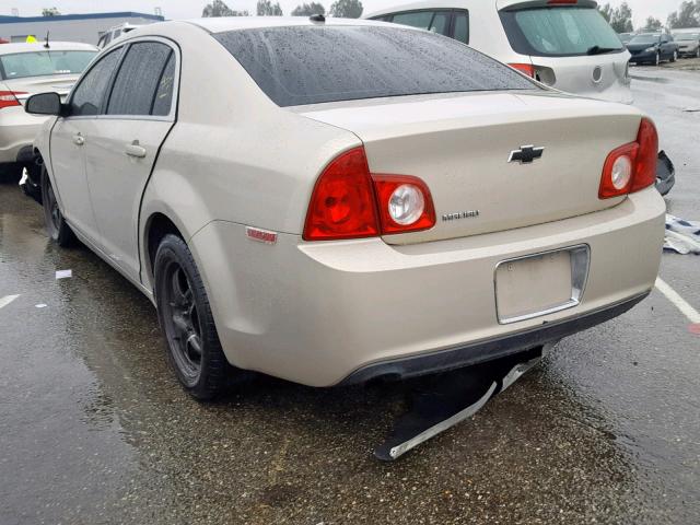 1G1ZB5EB0AF129078 - 2010 CHEVROLET MALIBU LS GOLD photo 3