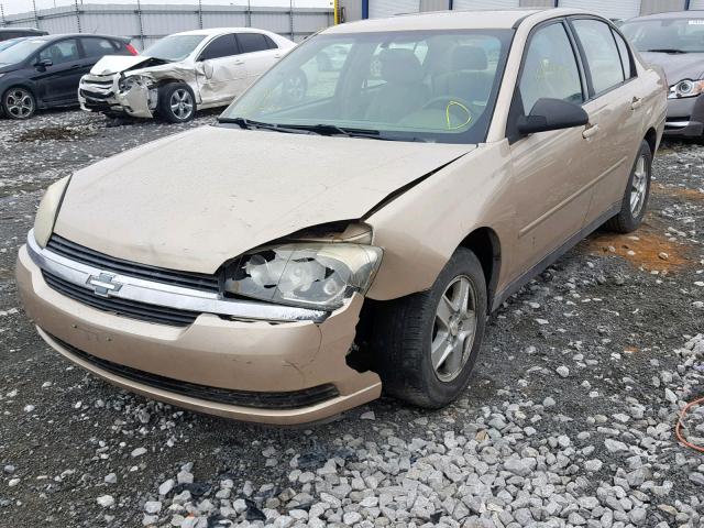 1G1ZT52845F218308 - 2005 CHEVROLET MALIBU LS Qızıl foto 2