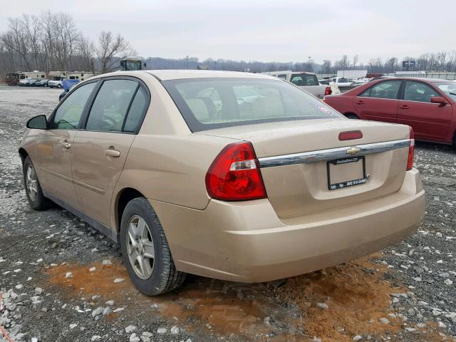 1G1ZT52845F218308 - 2005 CHEVROLET MALIBU LS Qızıl foto 3