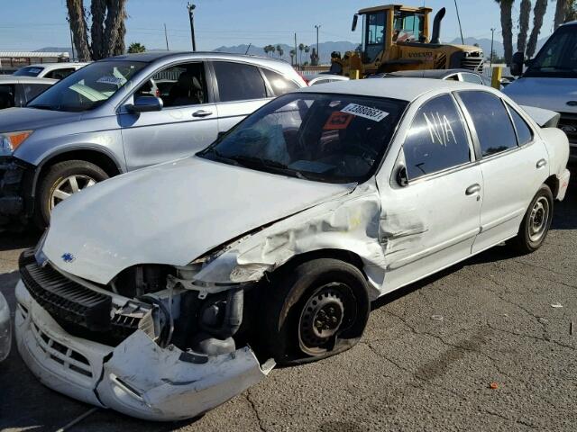 1G1JC524627214311 - 2002 CHEVROLET CAVALIER B WHITE photo 2