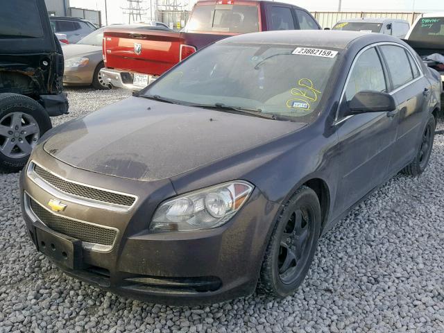 1G1ZA5EU5CF393565 - 2012 CHEVROLET MALIBU LS GRAY photo 2
