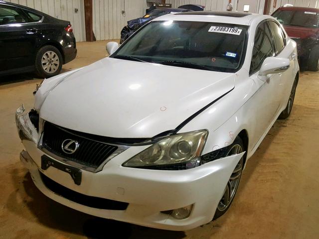 JTHBF5C20A2094466 - 2010 LEXUS IS 250 WHITE photo 2