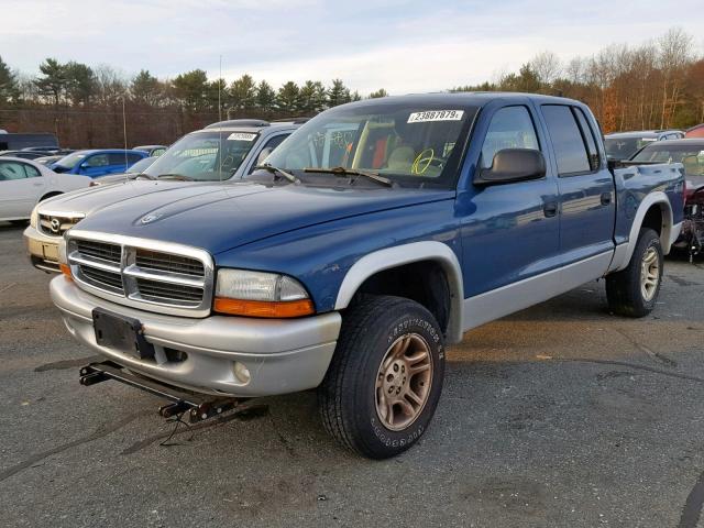 1D7HG48N83S231118 - 2003 DODGE DAKOTA QUA BLUE photo 2