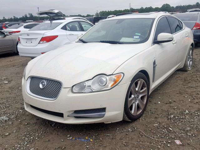 SAJWA05B29HR08502 - 2009 JAGUAR XF LUXURY CREAM photo 2