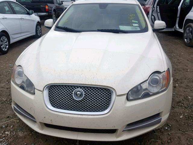 SAJWA05B29HR08502 - 2009 JAGUAR XF LUXURY CREAM photo 9